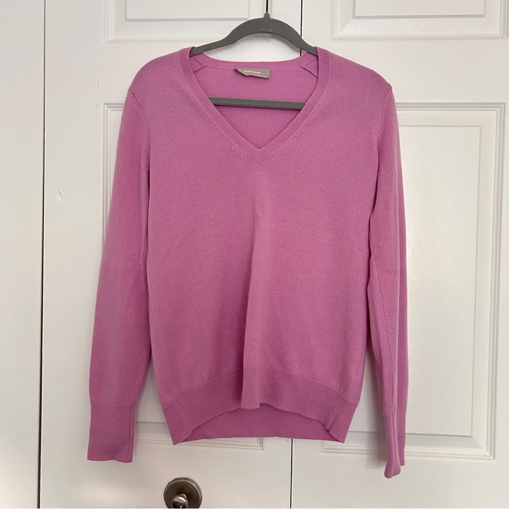 Everlane 100% Cashmere V-Neck Sweater in Soft Pink